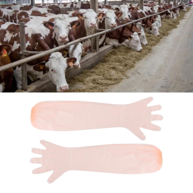 Guantes Veterinarios, Amplia Aplicación EVA, No Tóxicos, Seguros, 50 Unidades, Diseño De Banda De Goma Desechable Para Palpación De Vaca Para Lavavajillas