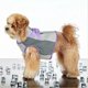 thumbnail image 4 of Chaleco para perro Ropa de malla transpirable para perros Verano Exterior Interior Cómodo Ligero Ropa para perro, 4 of 6