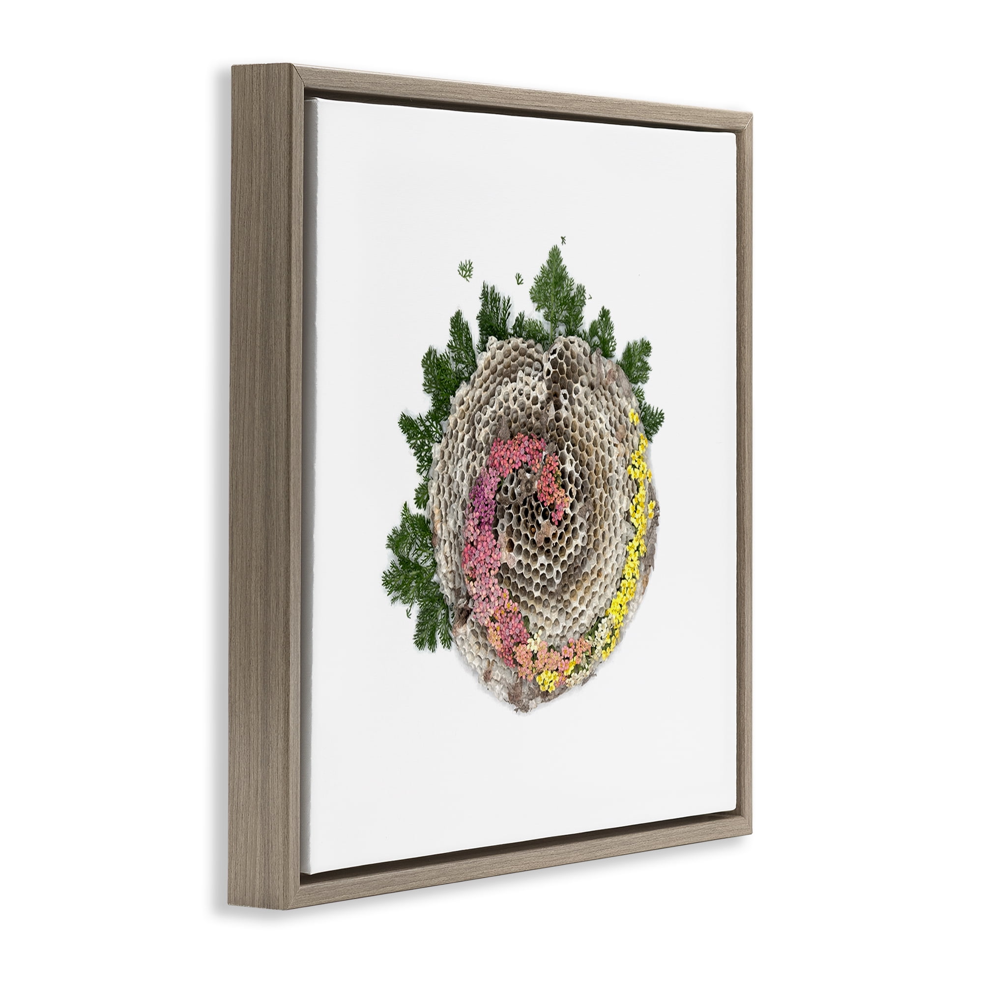 Stupell Industries Honeycomb with Botanicals Brown Framed Floater Canvas Wall Art, design by Beth Adoette