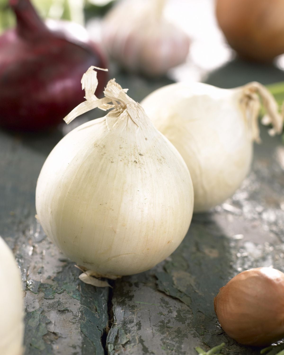 Bulbes d'oignon Snowball Bulbes d'oignon Snowball 250 g