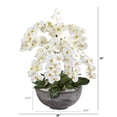 thumbnail image 2 of 39in. Phalaenopsis Orchid Artificial Arrangement in Large Cement Bowl, 2 of 2