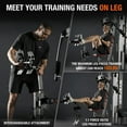 thumbnail image 5 of Syedee All-in-One Home Gym System with Folding Chest Press – 90+ Exercises in One Space-Saving Machine, 5 of 17
