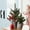 Red, variant on White Christmas Rattan Branches 6 Pack - Handwoven Berry Decor for Trees, Wreaths and Mantels, Eco-Friendly Holiday Decorations with Natural Texture