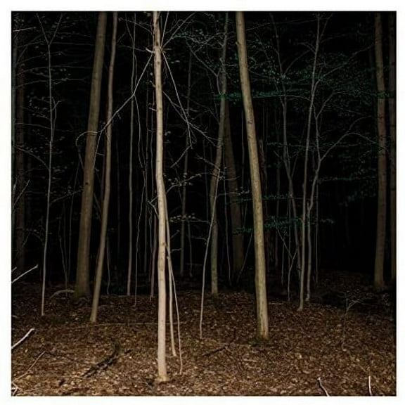 Express Rising - Fixed Rope Ii - Music & Performance - CD