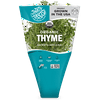 Organic Thyme Live Plant, 1 ea