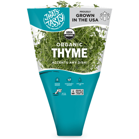 Organic Thyme Live Plant, 1 ea