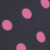 Pink Polka Dots