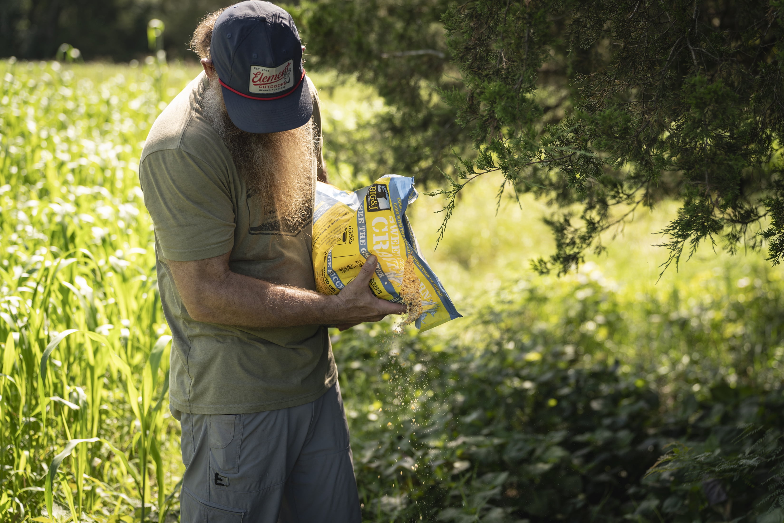 SWEET CORN CRAVE 20LB BAG