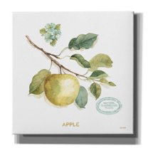 Epic Graffiti 'My Greenhouse Fruit IV' by Lisa Audit, Canvas Wall Art, 26"x26"