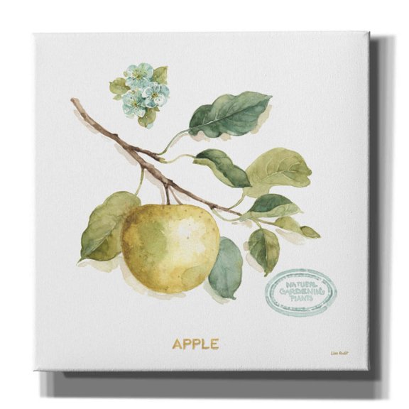 Epic Graffiti 'My Greenhouse Fruit IV' by Lisa Audit, Canvas Wall Art, 26"x26"