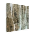 thumbnail image 2 of Trademark Fine Art 'Live Edge IV' Canvas Art by John Butler, 2 of 4