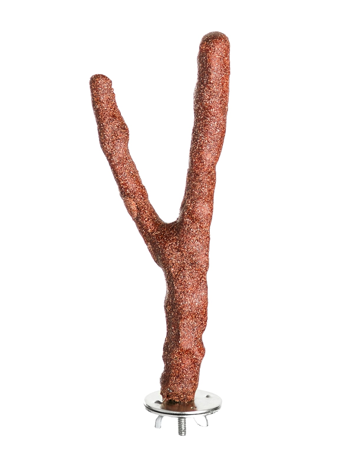Prevue Pet Products Pacific Perch Brown Seashell and Wood Cosmic Crunch Bird Perch, 6 inch