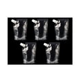 thumbnail image 4 of Inteprter Bolsa de 5 piezas para bebidas, contenedor de leche, portátil, para el hogar, comedor, Bar, café, cocina, interior, exterior, Barra de herramientas Pequeño, 4 of 6