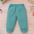 thumbnail image 5 of IDOPIP Infant Baby First Birthday Cake Smash Outfit Sets Comfy Fall Crewneck Pullover Cute Green Pants Size 12-18M, 5 of 7