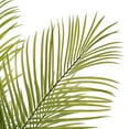 thumbnail image 2 of Vickerman 60" Green Areca Palm Plant. This is an artificial plant in a black plastic pot., 2 of 4