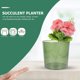 thumbnail image 4 of unbranded Plástico Verde Para Flores Fresco Y De, 4 of 6