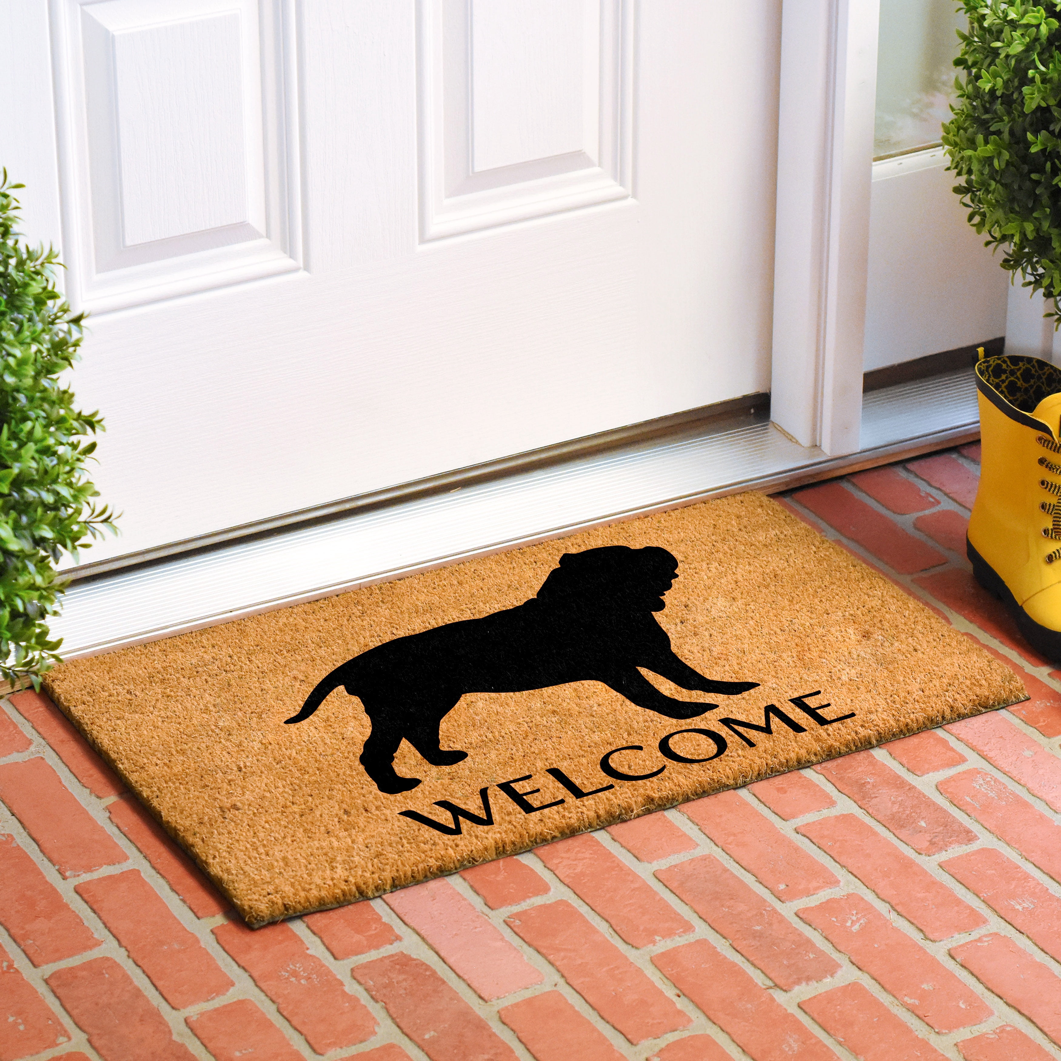 Calloway Mills 107052436 Neapolitan Mastiff Doormat 24" x 36"