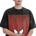 thumbnail image 2 of Spider-Man Vintage Washed Drop Shoulder Short Sleeve T-Shirt - Iron On, 2 of 7