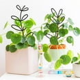 thumbnail image 2 of Enrejado pequeño para plantas en maceta, enrejado pequeño para plantas trepadoras en maceta, enrejado de soporte, enrejado de jardín confiable y duradero, 2 of 6