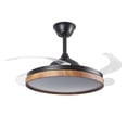 thumbnail image 2 of Lampara Ventilador de Techo LED Nature Luxica Lighting Negro, 2 of 7