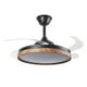 thumbnail image 2 of Lampara Ventilador de Techo LED Nature Luxica Lighting Negro, 2 of 7