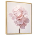 thumbnail image 2 of Designart "Pink Hydrangea Petals" Floral Floater Framed Canvas Print, 2 of 7