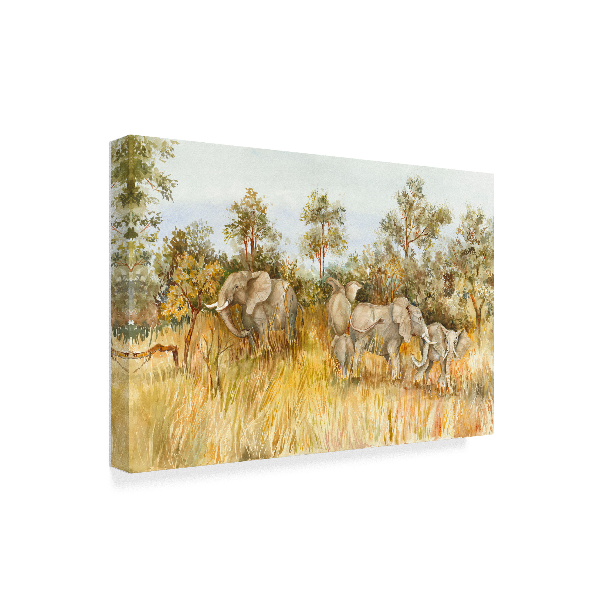 Trademark Fine Art 'African Elephant' Canvas Art by Joanne Porter