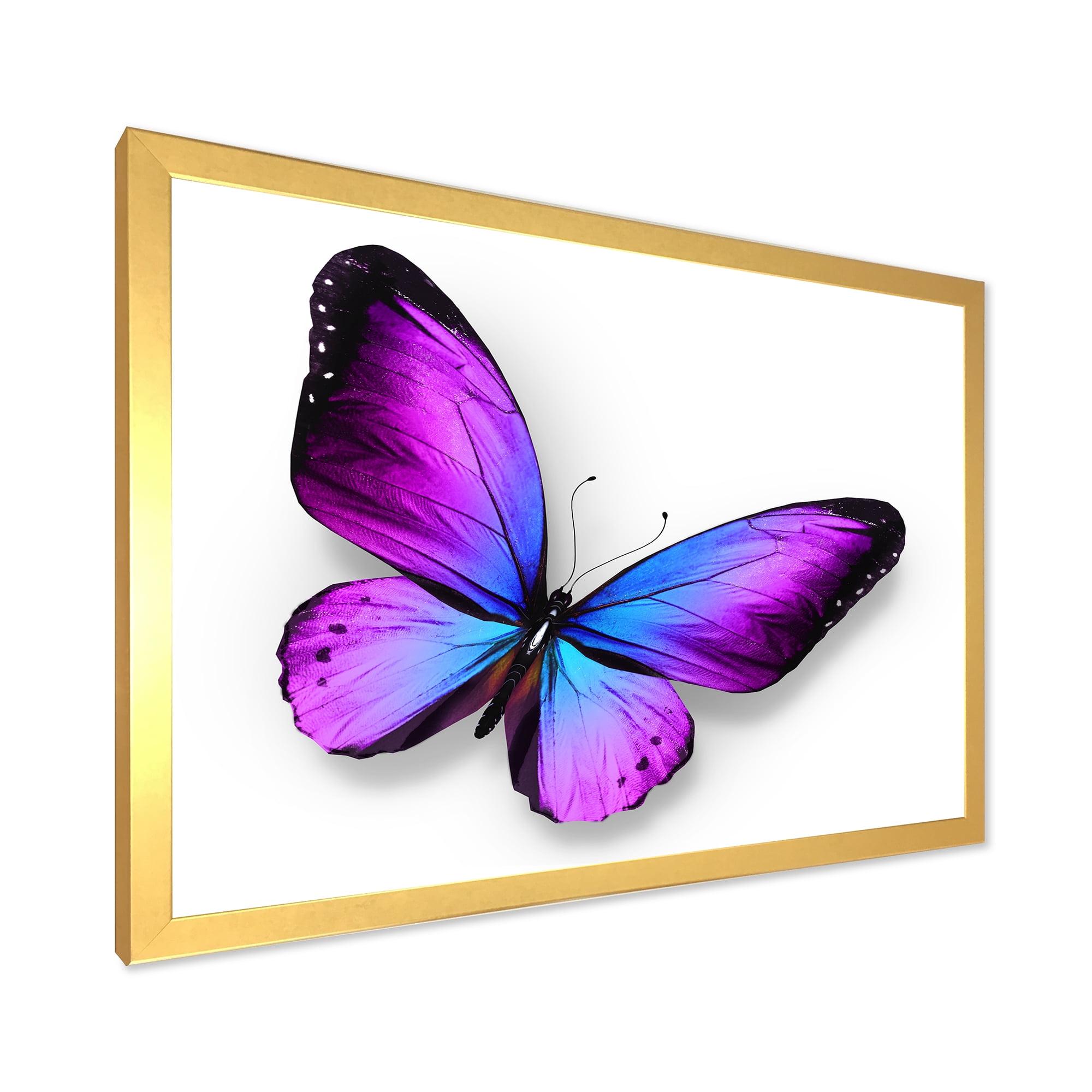 Designart 'Blue and Violet Butterfly' Modern Framed Art Print