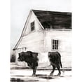 thumbnail image 2 of Harper, Ethan 15x18 Gold Ornate Wood Framed with Double Matting Museum Art Print Titled - Belted Galloway II, 2 of 4