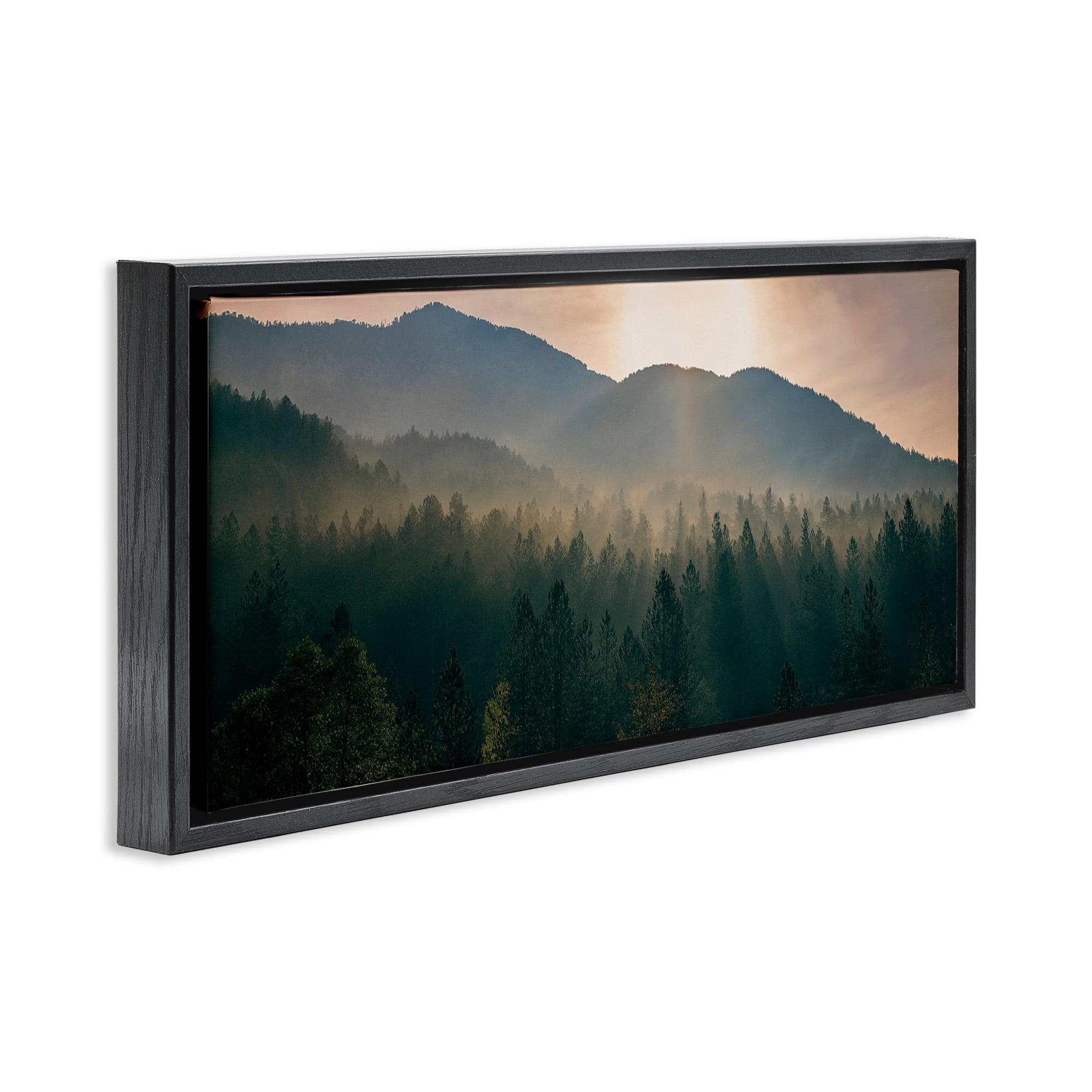 Stupell Industries Morning Sun over Misty Trees Landscape Photography Black Floater Framed Canvas Art Print Wall Art, 31 x 14