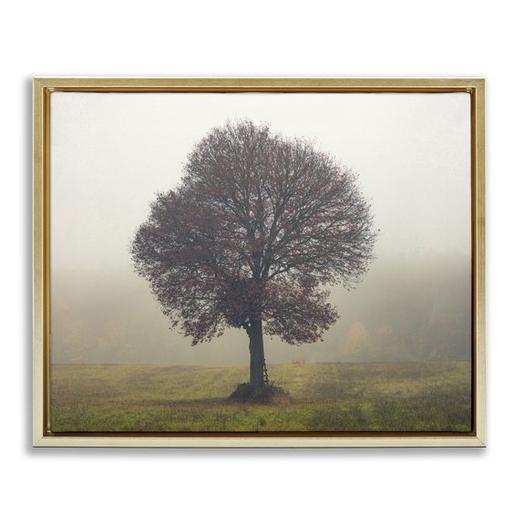 Stupell Industries Farmhouse Lone Tree Rural Grassland Gold Floating Frame Canvas Art, 21 x 17, by Igor Vitomirov