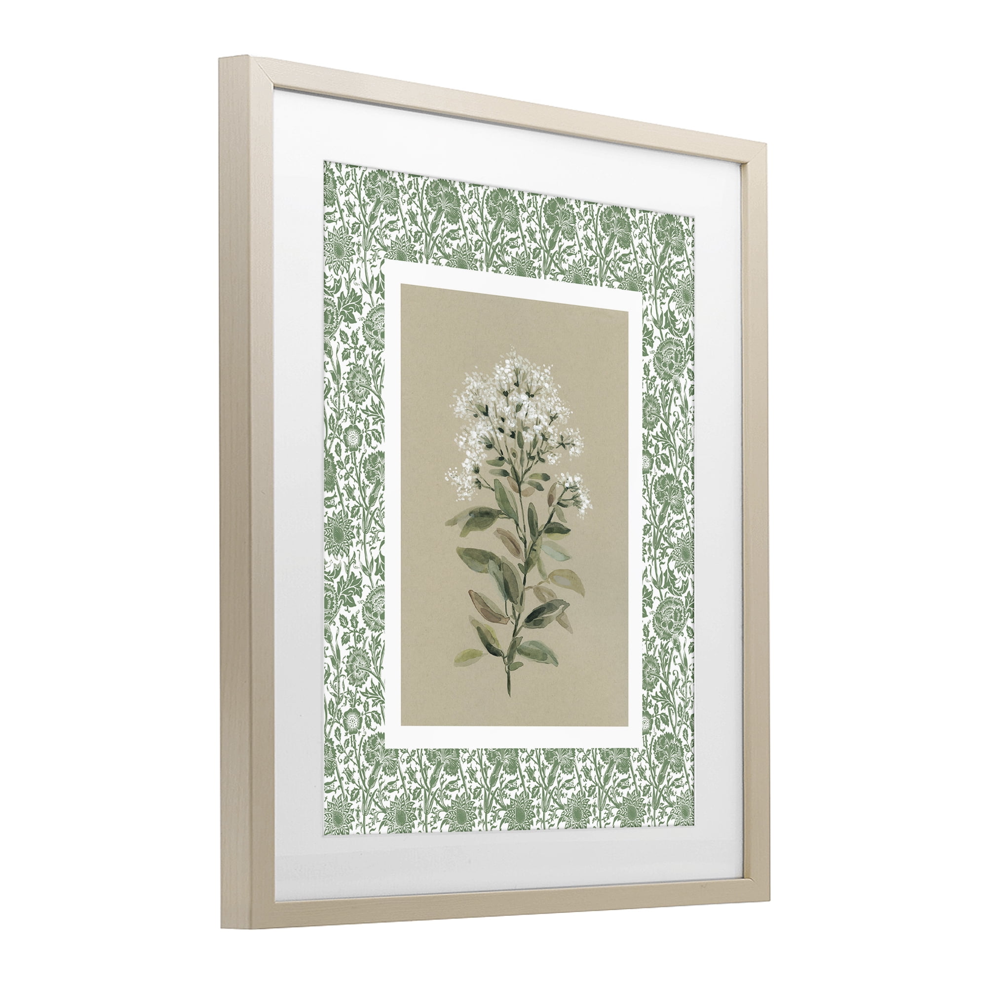 Stupell Industries Plant on Green Botanicals Birch Framed Print Under Glass, design by Carol Robinson