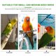 thumbnail image 4 of EeaseMX 2 piezas de juguete para loros, percha de madera para pájaros con espejo, jaula para pájaros, percha de madera, soporte de pie para entrenamiento de loros, 4 of 7