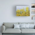 thumbnail image 3 of Allan Friedlander 'Clinging Vines' Canvas Art, 3 of 3
