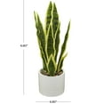 thumbnail image 3 of DecMode 17" Artificial Snake Plant in Realistic Leaves and White Porcelain Pot, 3 of 7