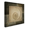 thumbnail image 2 of Trademark Fine Art 'Light Gold Sea Warm' Canvas Art by LightBoxJournal, 2 of 3