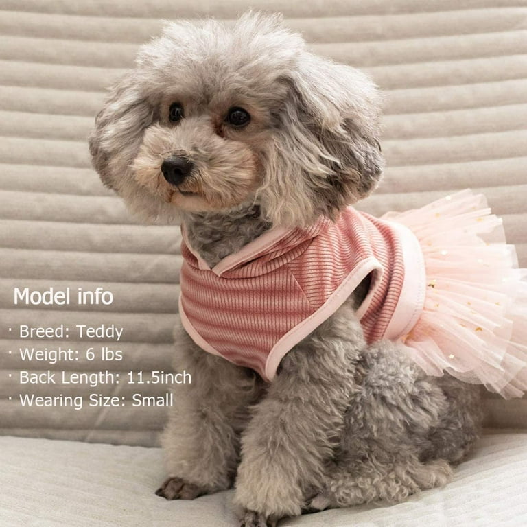 fall dresses for dogs Pink & Black Halloween Dog Dress main image 1