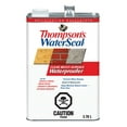 thumbnail image 1 of Thompson's WaterSeal Multi-Surface Waterproofer, Clear, 3.78 L, 1 of 1