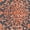 Navy/Rust, variant on SAFAVIEH Chester Jacqueline Oriental Area Rug, Ivory/Grey, 8' x 10'