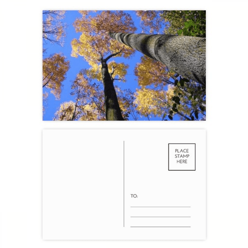 red science nature scenery postcard set birthday mailing thanks greeting card