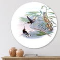 thumbnail image 2 of Designart 'Ancient Hummingbird On A Branch' Traditional Circle Metal Wall Art 11x11 - Disc of 11, 2 of 5