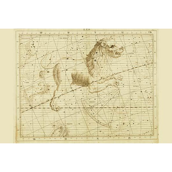 Leo the Lion-Fine Art Canvas Print (20" x 30")