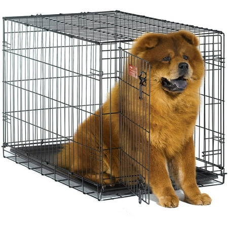 Midwest 1536 Icrate Single-door Pet Crate 36-by-23-by-25-inch