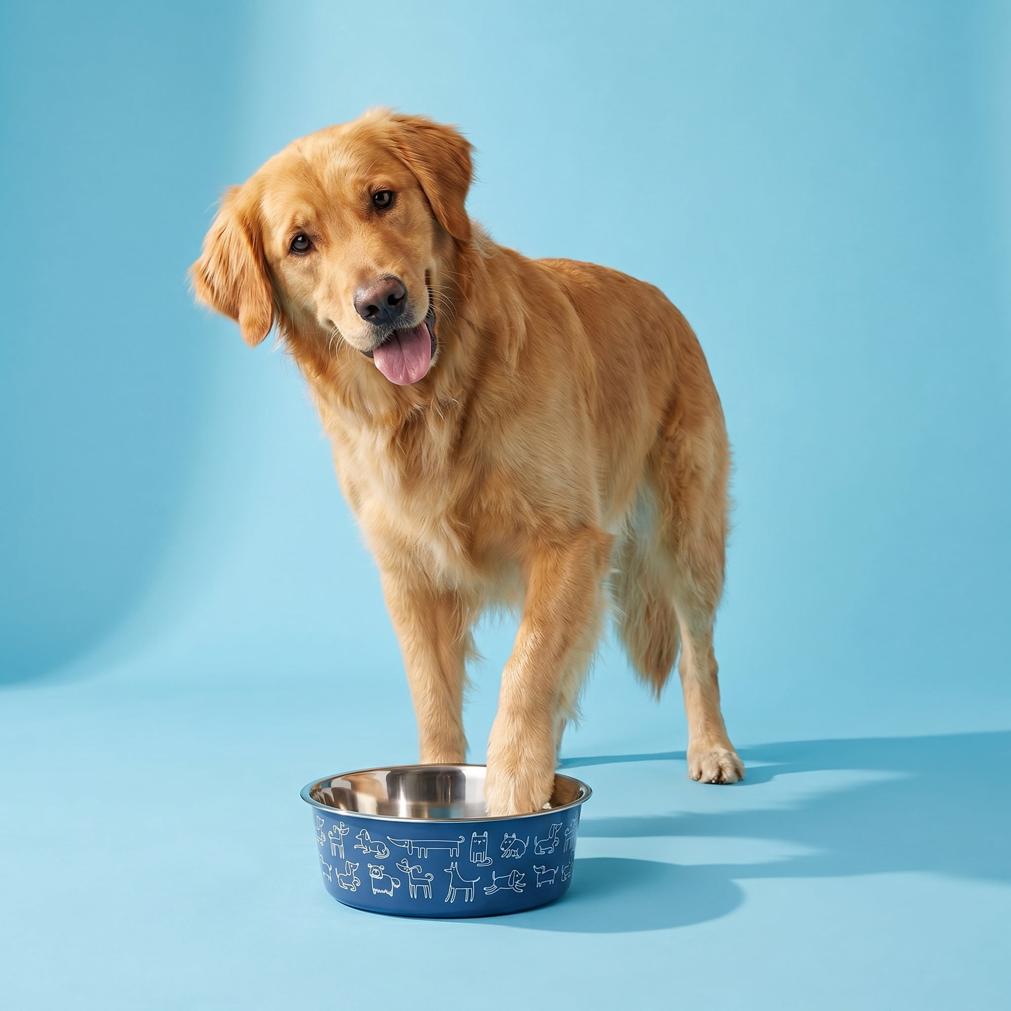 Vibrant Life Large 7.5-Cup Stainless Steel Dog Printed Pet Bowl, Navy