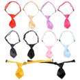 thumbnail image 2 of KAKOWELY 10 corbatas para mascotas, para festivales, con collar ajustable, ideal para disfraces de mascotas., 2 of 5