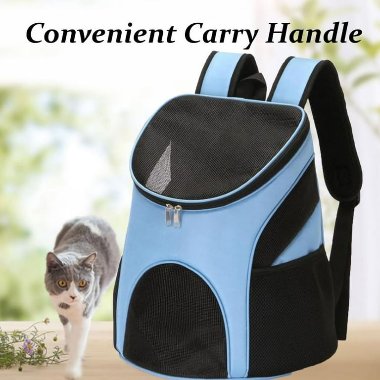Cat top holding backpack