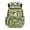 Cartoon Dinosaur, variant on Aplkyhs Capybara Watermelon Backpack for Students 12-18 Durable 17 Inch School Bookbag for Middle High School Teens Outdoor