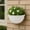 White, variant on LSLJS Hanging Planter Semi-Circular Wall-Mounted Hanging Planters for Indoor Plants Plastic Wall Planter for Flowers Herbs Storage Home Garden Decor, Flower Pots