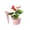 Pink, variant on Orangide Novelty High Heels Planter for Desktop or Floor Standing Decorative Flower Pot for Indoor Outdoor Gardening and Home Decor for Small Plants and Gifts
