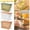 Green, variant on Txlpkdyx Refrigerator Drink Dispenser with Spigot,Slim Square Water Pitcher for Fridge Door,Plastic Beverage Container for Iced Tea,Lemonade & Juice,Leak-Proof Lid